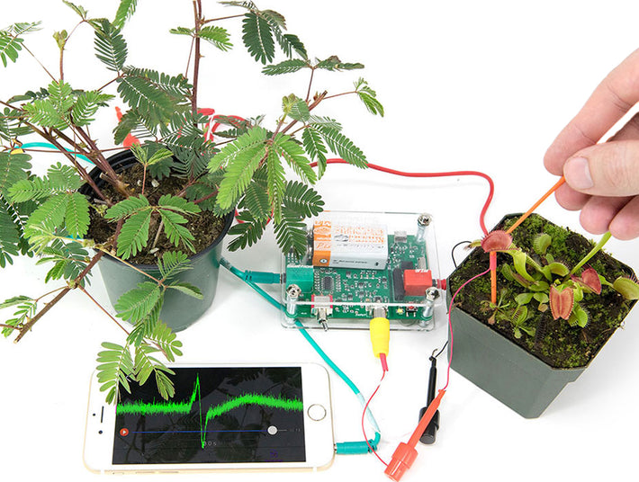 Conducting experiment with PlantSpikerBox
