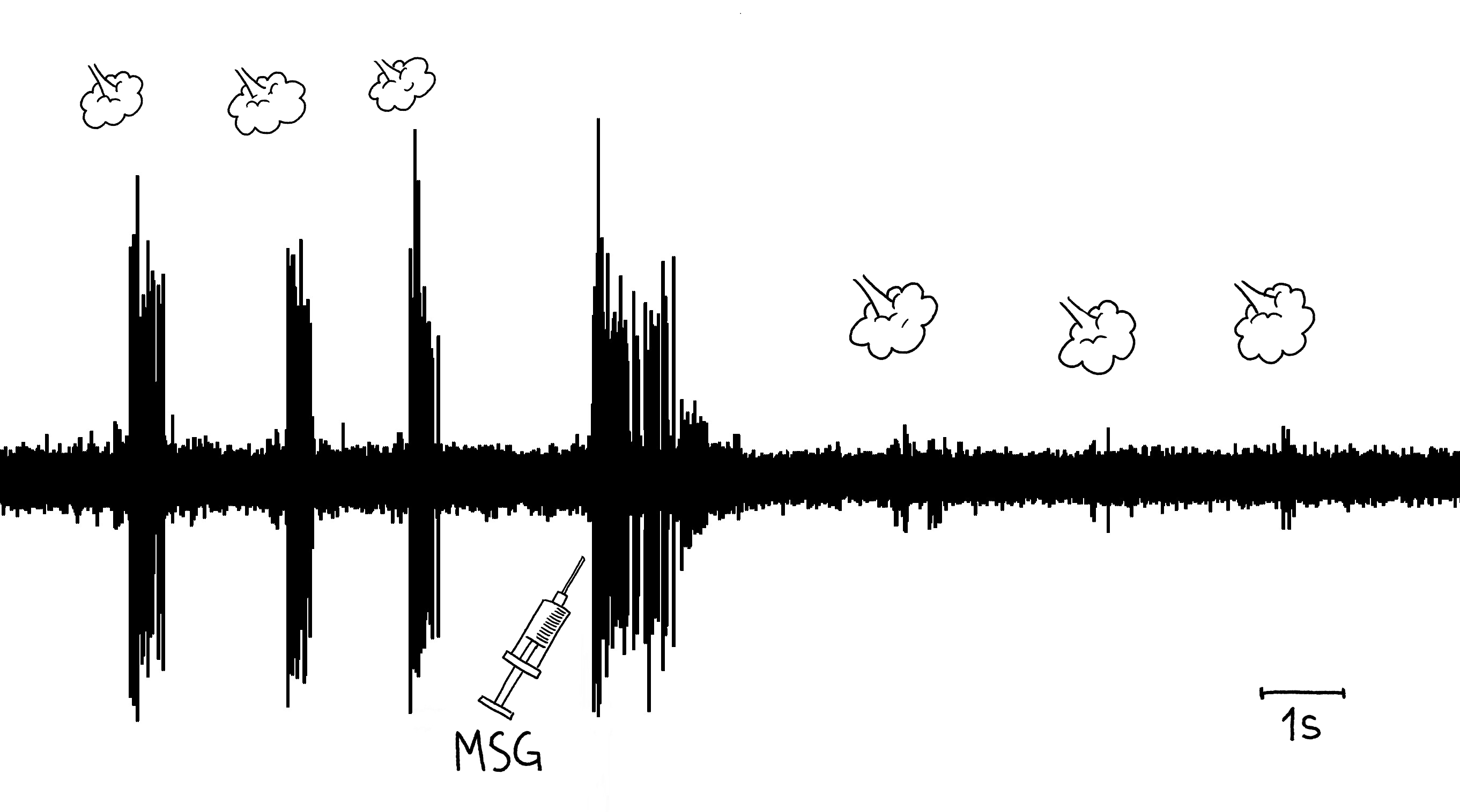 Neurotransmitter Testing: