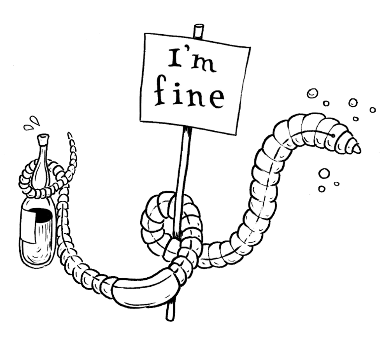 Measuring Conduction Velocity in an Earthworm