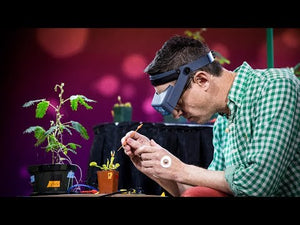 Plant SpikerBox