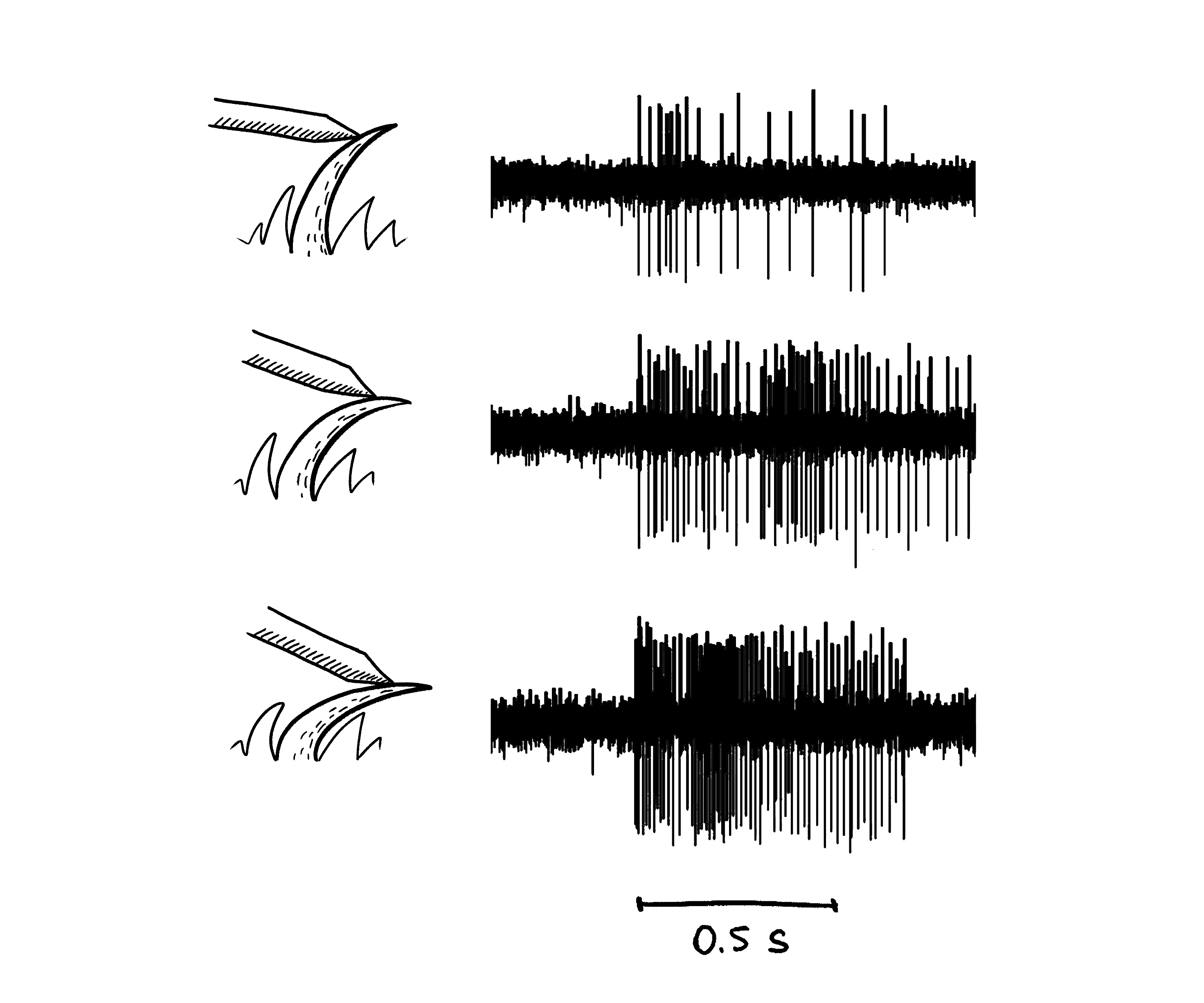 Tactile Stimulation: