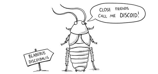 Imported from WP: How Vaping Roaches Can Teach Data Science