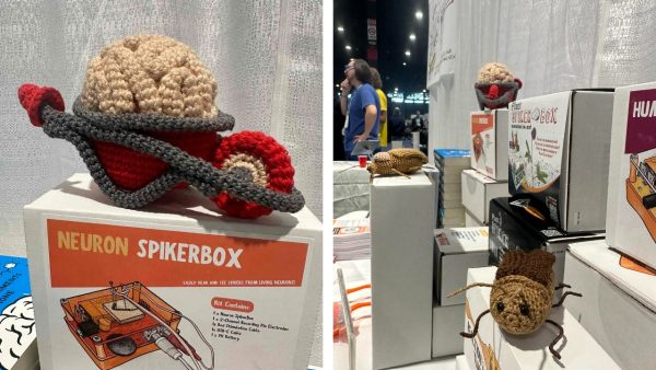 Spiker (Wo)Men & Knitted Bugs: Backyard Brains at SfN 2024