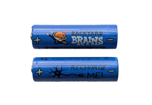2x Rechargeable AA Batteries