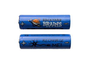 2x Rechargeable AA Batteries