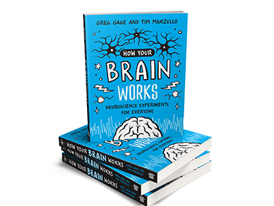 Book: How Your Brain Works