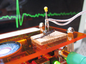Neuron SpikerBox