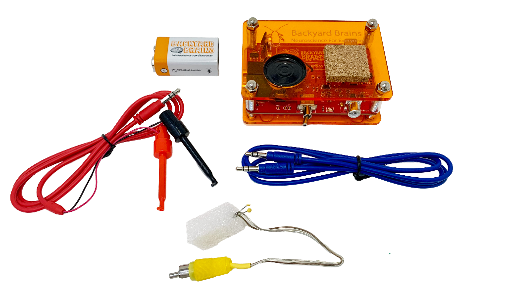 Neuron SpikerBox Classic