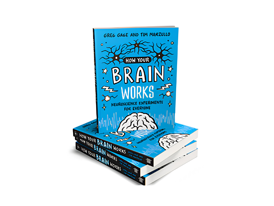 Book: How Your Brain Works