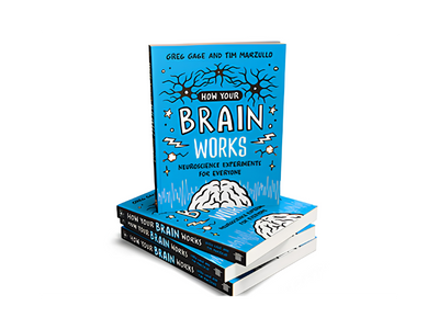 Book: How Your Brain Works