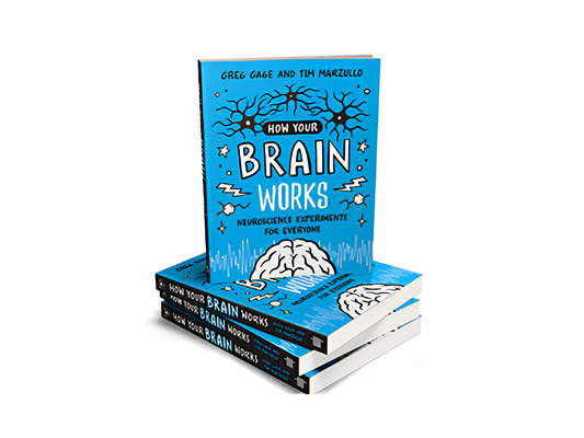 Book: How Your Brain Works