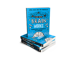 Book: How Your Brain Works