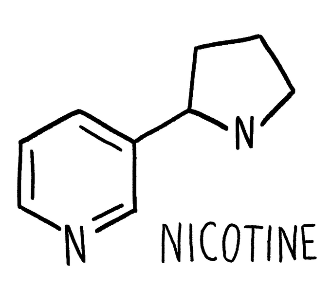 Excitatory Neurotransmitters