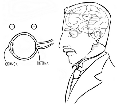 Electrooculography (EOG): Measuring Eye Potentials