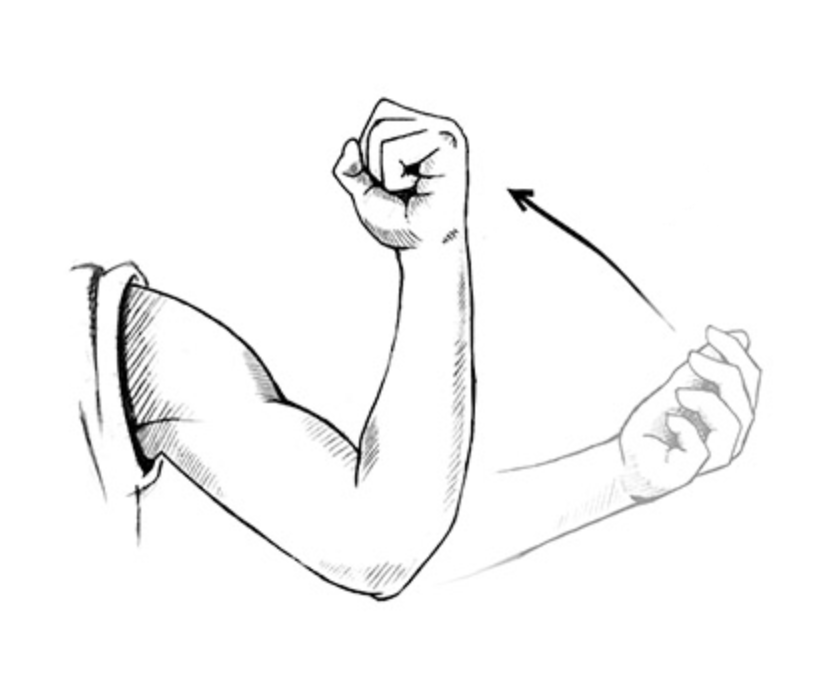 Electromyography (EMG) of Antagonist Muscle Pairs