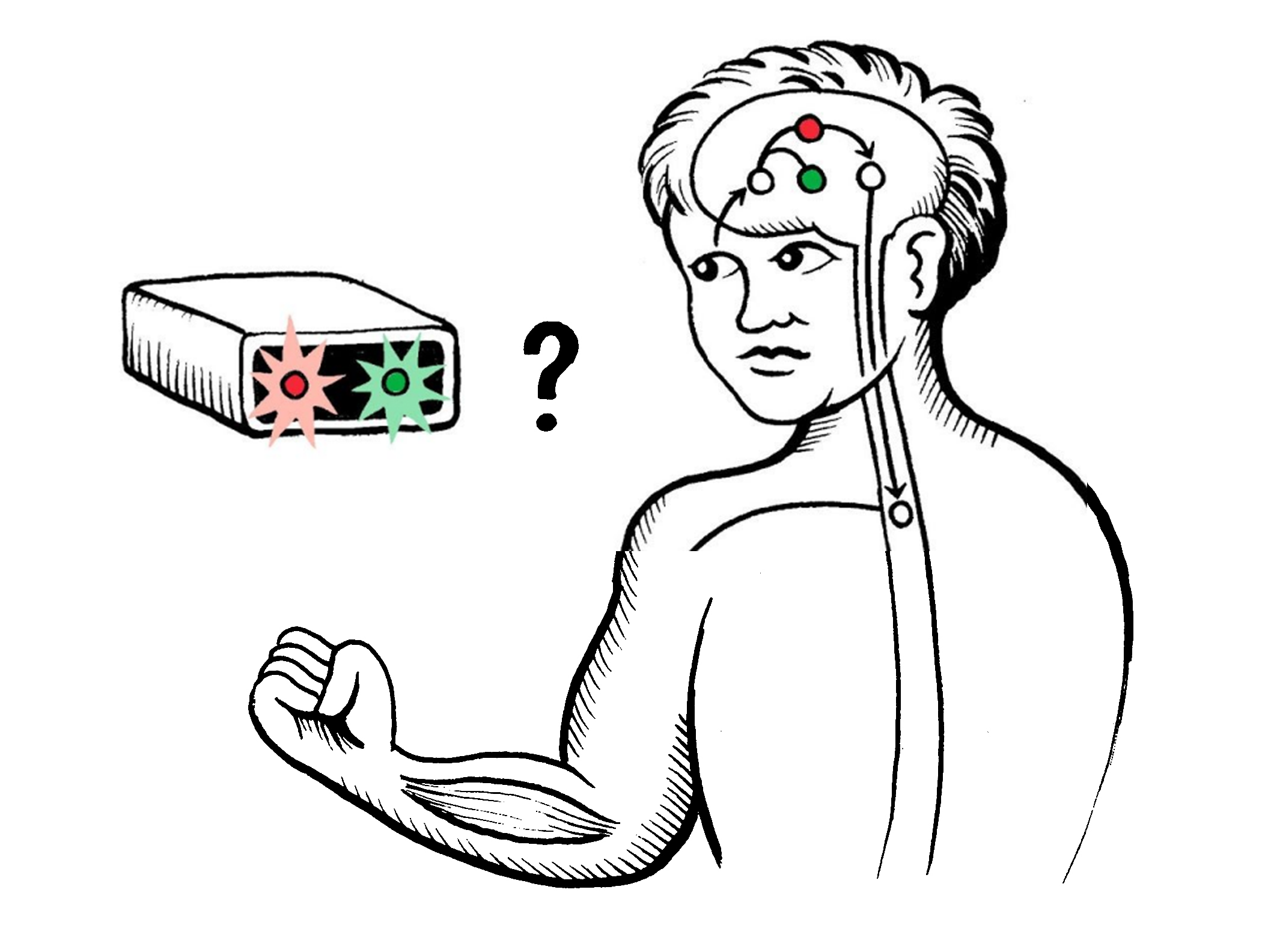 Clocking the Brain: Choice Reaction Time