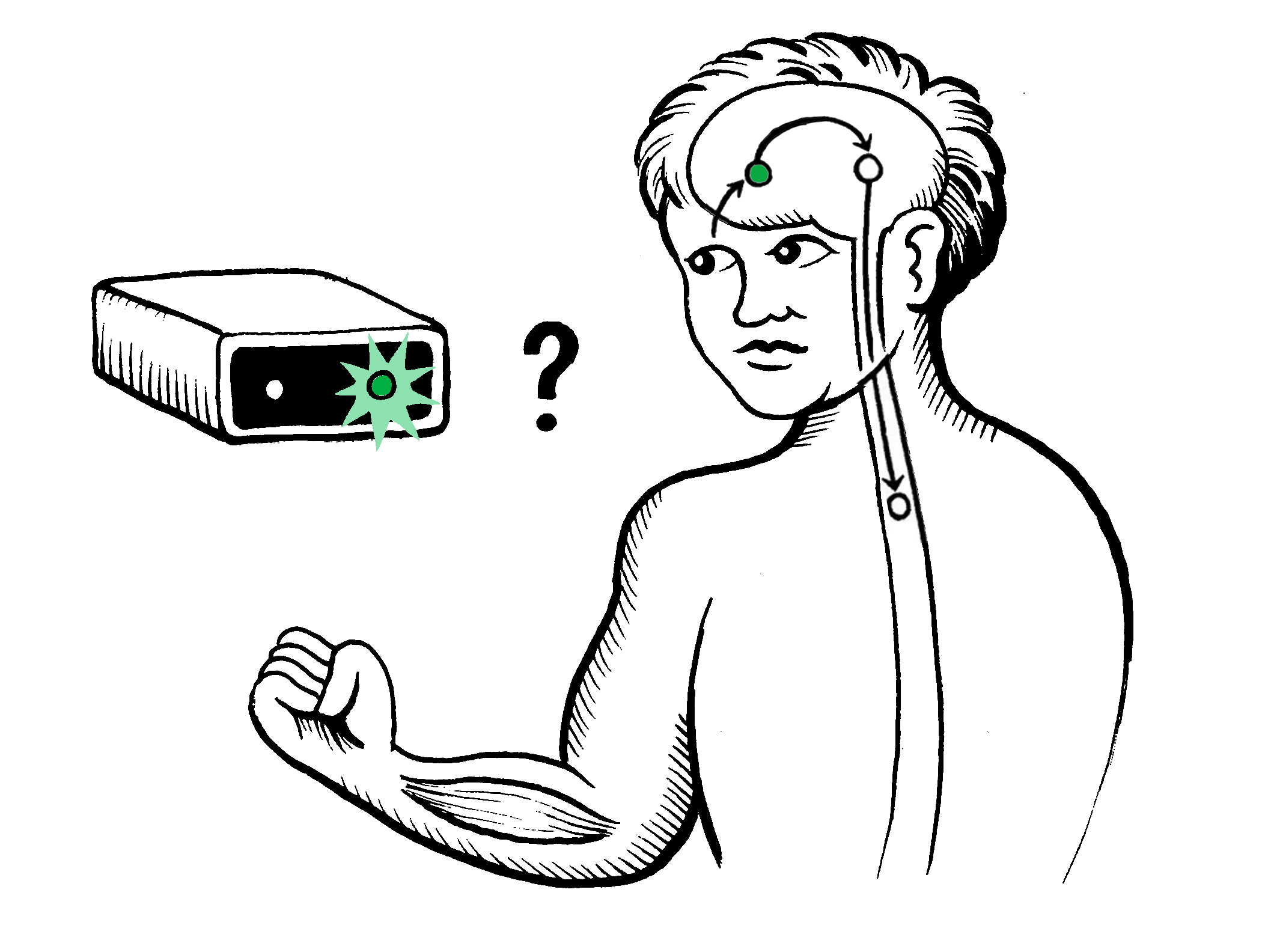 Visual-Motor Reaction Time