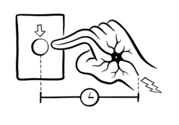 Auditory Motor Reaction Time