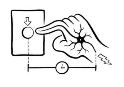 The Science of your Reaction Time – Backyard Brains