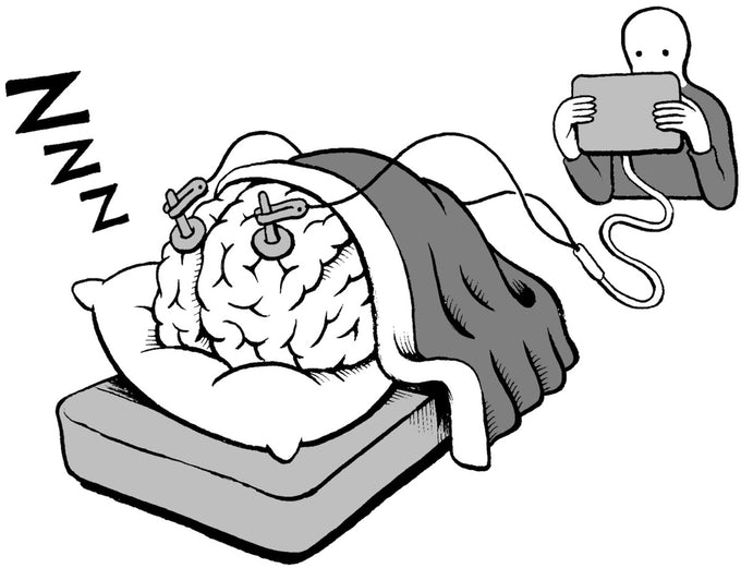 The Neuroscience of Sleep