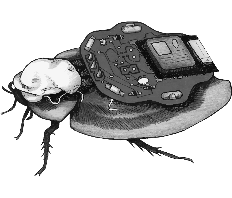 Wirelessly Control a Cyborg Cockroach