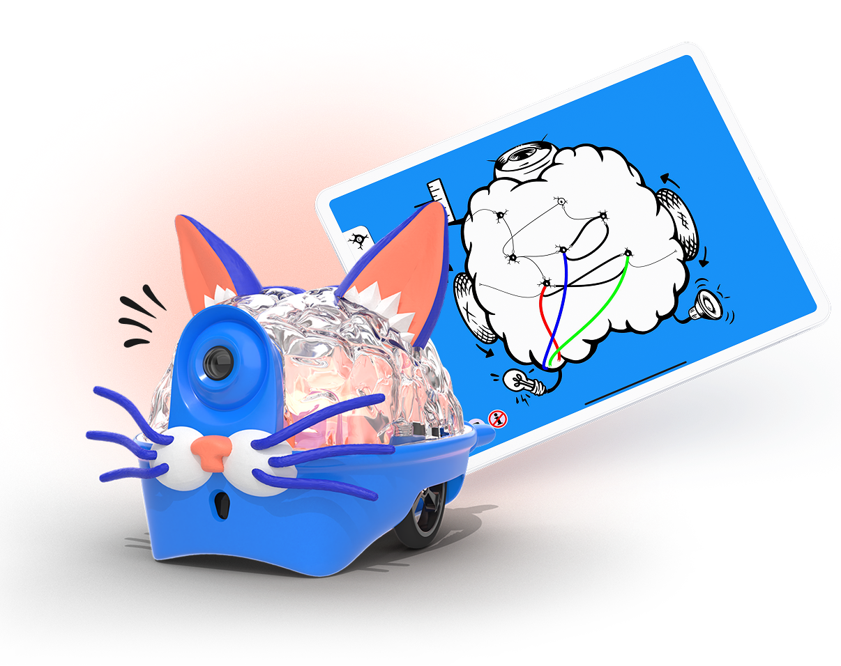 Build a Brain