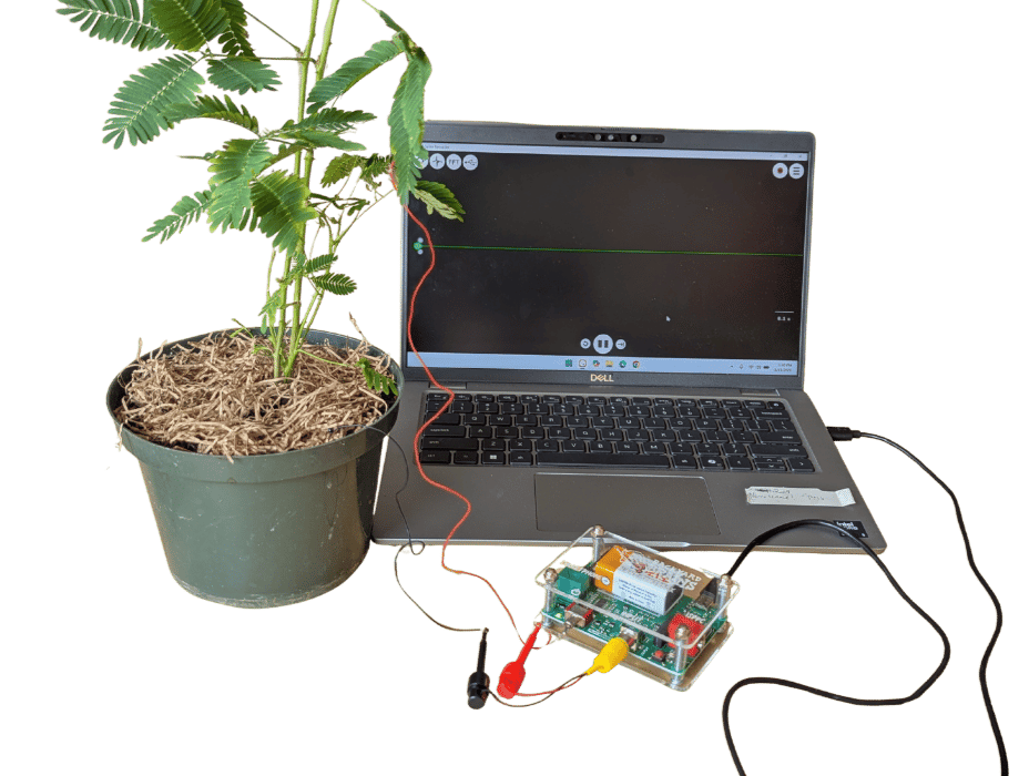 Plant SpikerBox