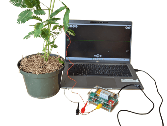 Plant SpikerBox