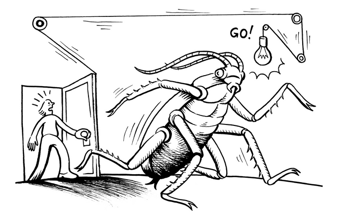 Somatosensory Neurons – Unlocking the Neural Code of Touch