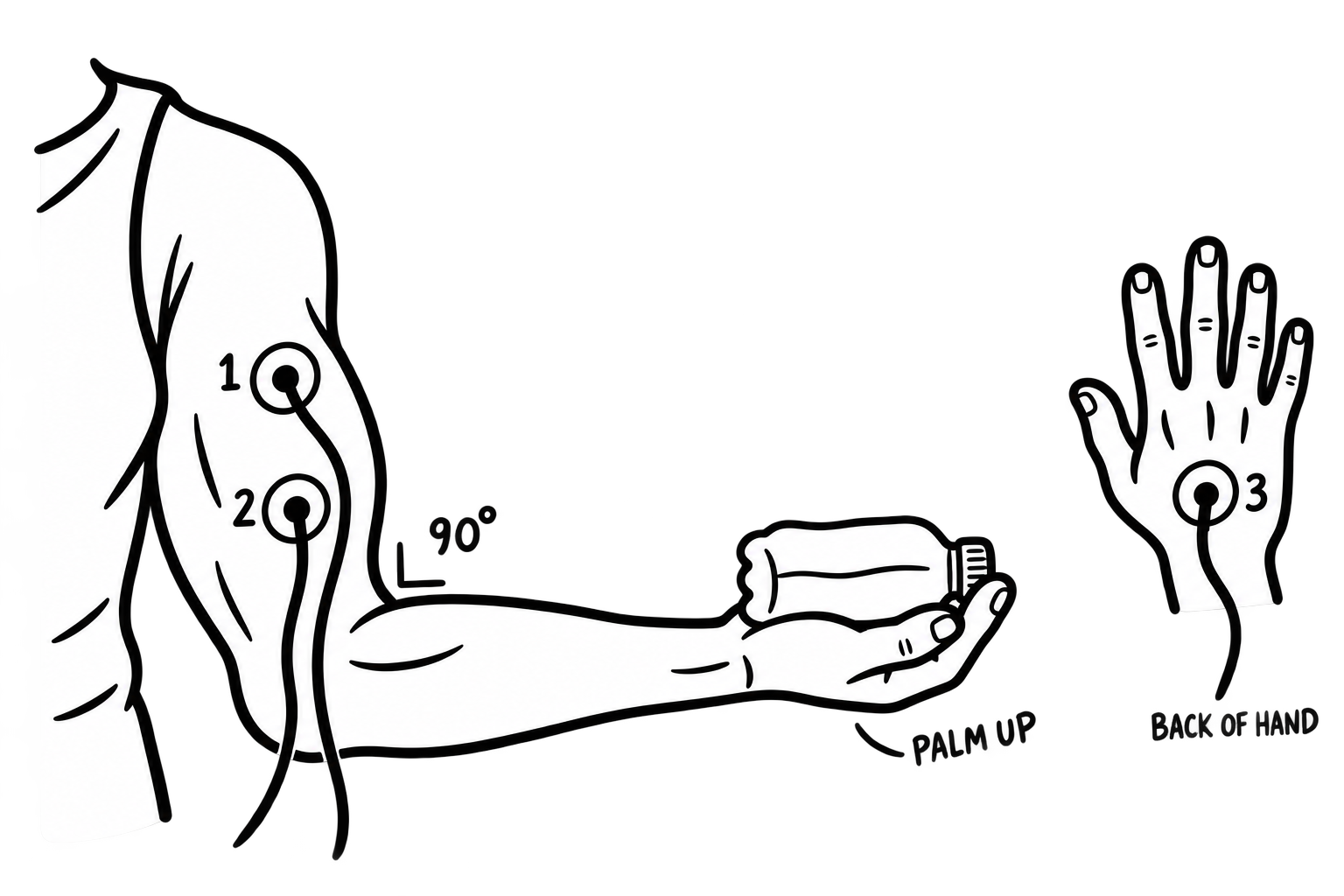 Biceps EMG setup: two upper-arm patches, a 90-degree elbow and palm-up bottle hold. A separate hand view shows the reference patch.